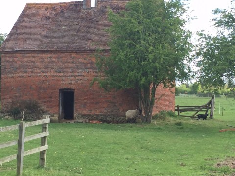 Dove coat at Baldon house 